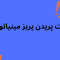 علت پریدن پریز مینیاتوری