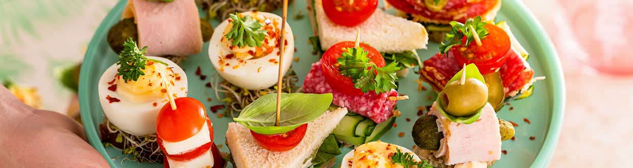 تهیه و سفارش فینگر فود