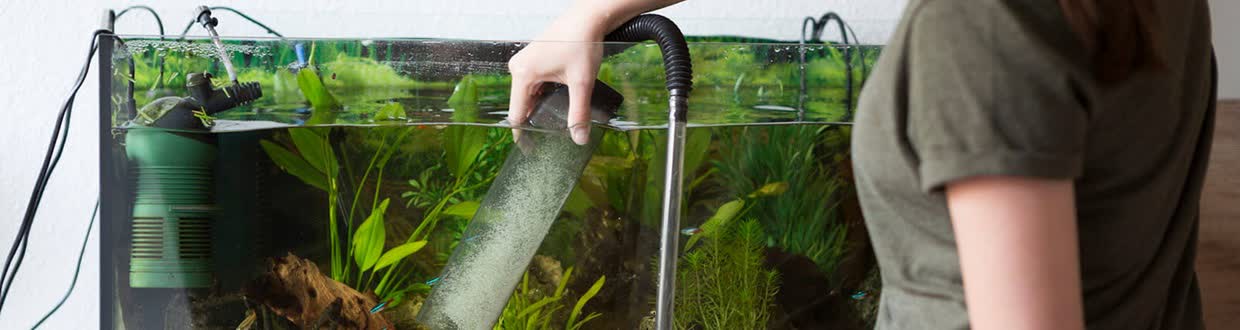 نظافت آکواریوم