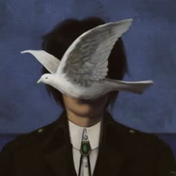 account-image