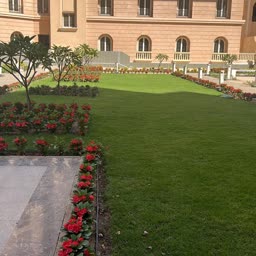 account-image