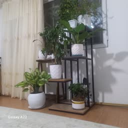 account-image