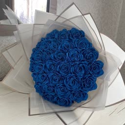 account-image