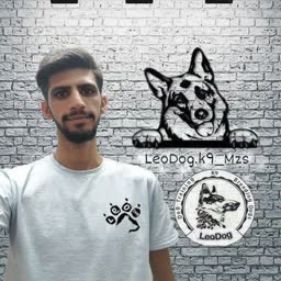 account-image