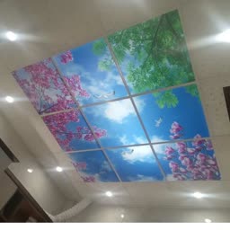 account-image