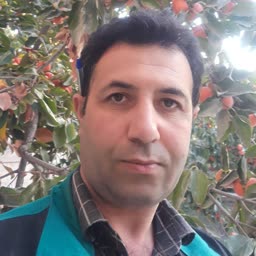 account-image