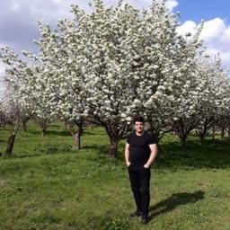 account-image