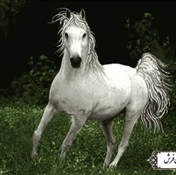 account-image