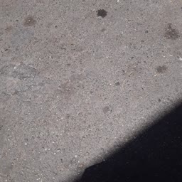 account-image