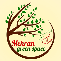 account-image