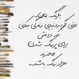 account-image