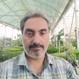 account-image
