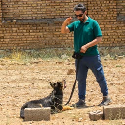 وحید صالحی اسدآبادی