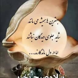 account-image
