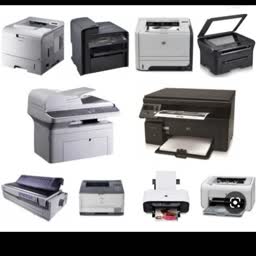 account-image