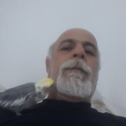 account-image
