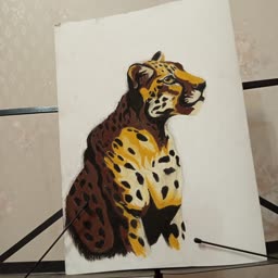 account-image