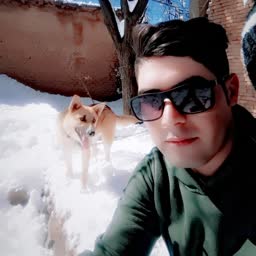 account-image