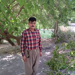 account-image