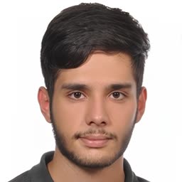 محمدپارسا شکری