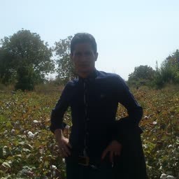 account-image