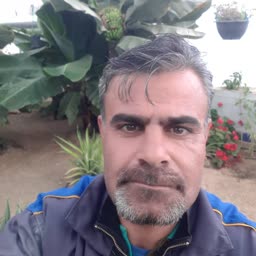 account-image