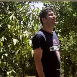 account-image