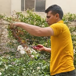 account-image