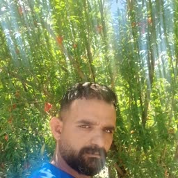account-image