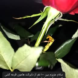 account-image