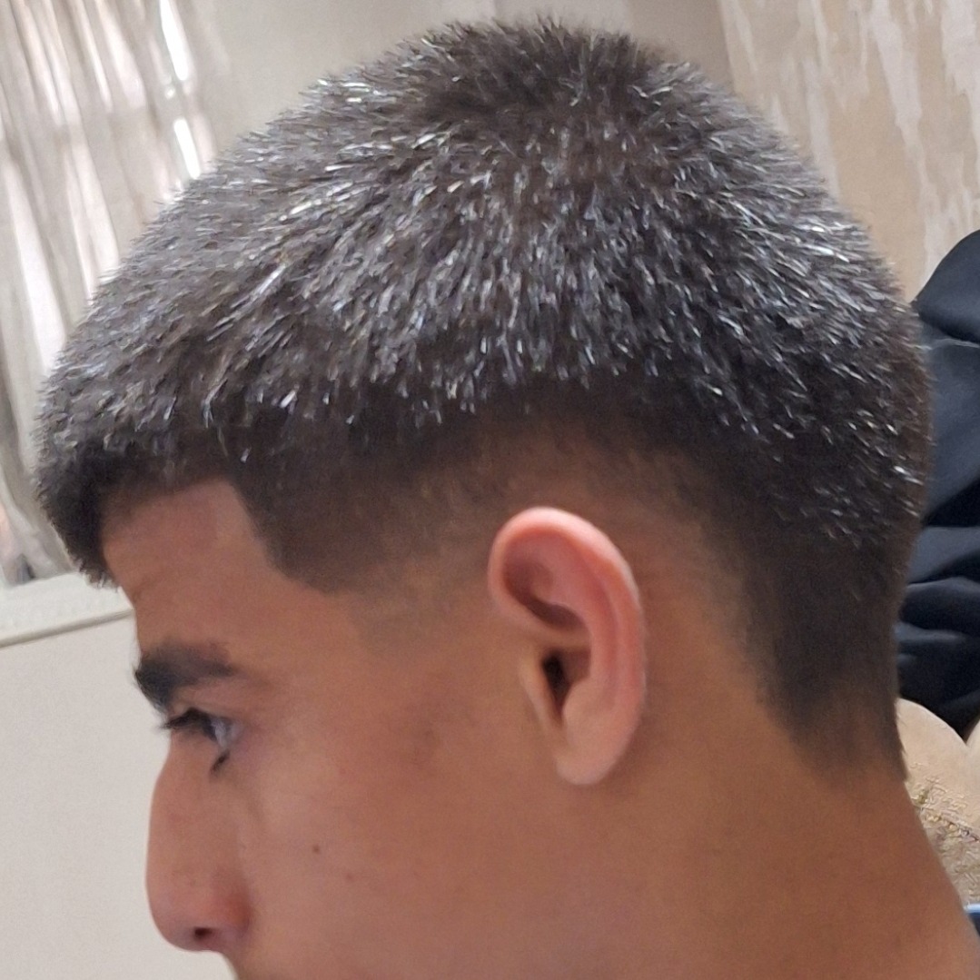 برست فید