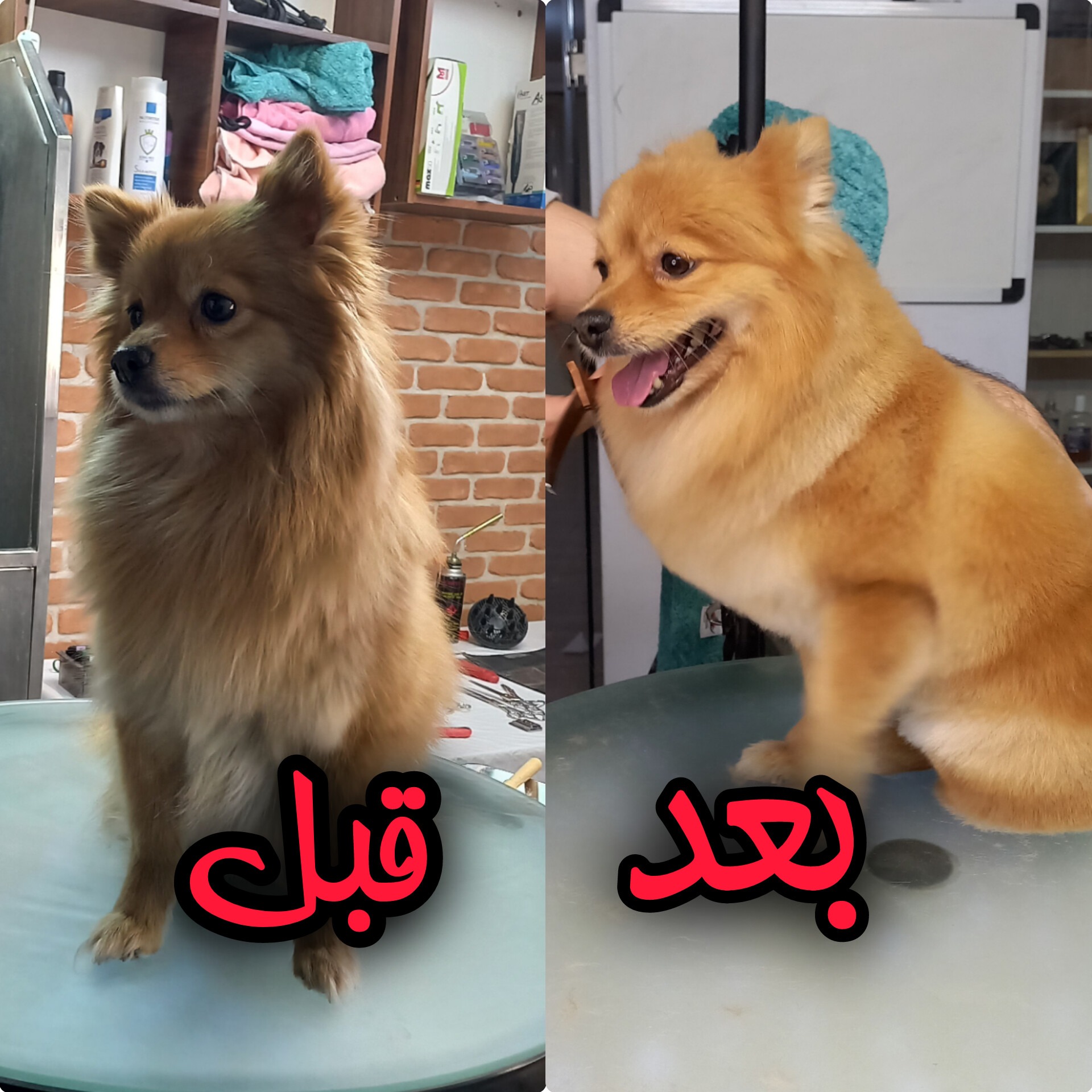 گرومینگ
