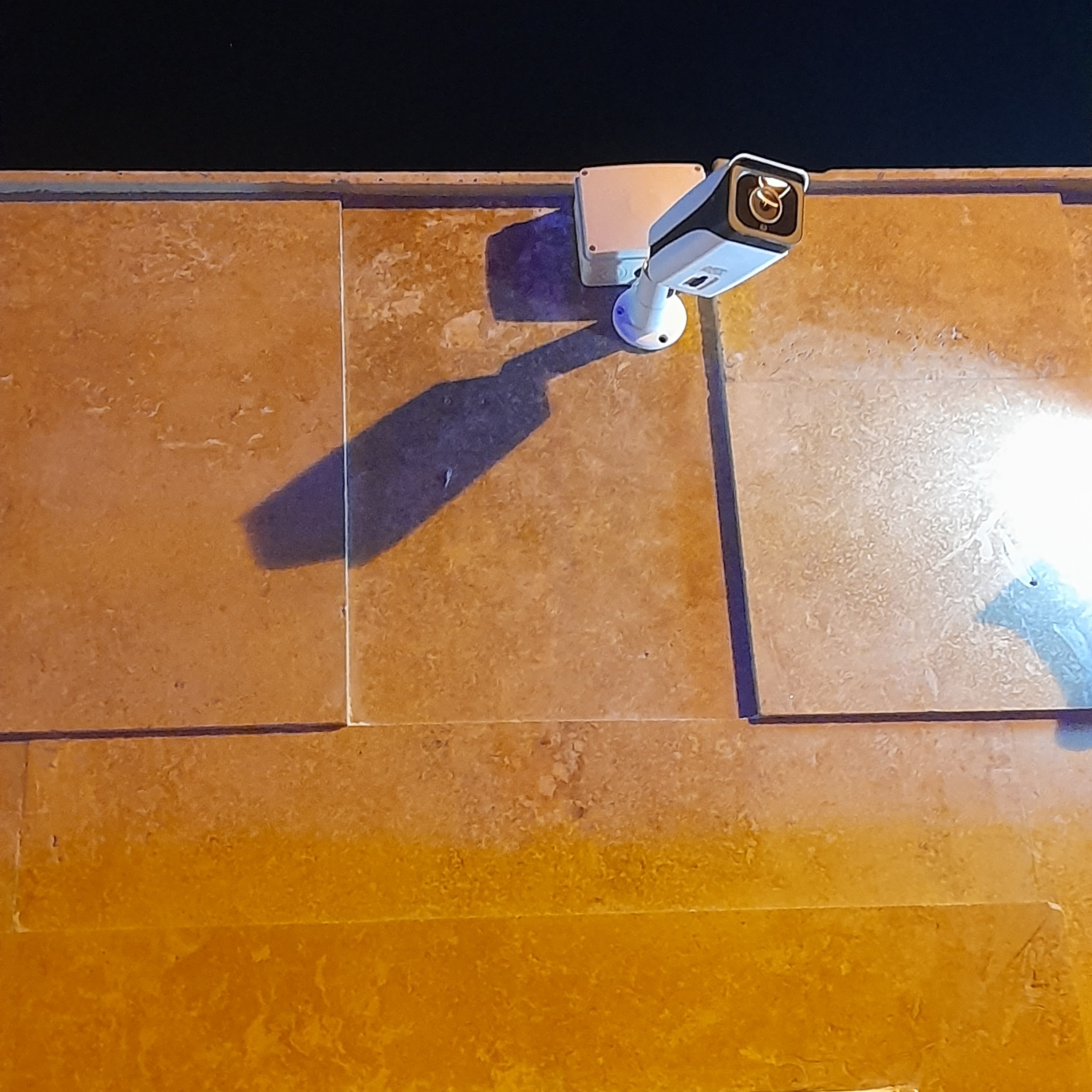 سیستم های حفاظتی دیده گستر شرق