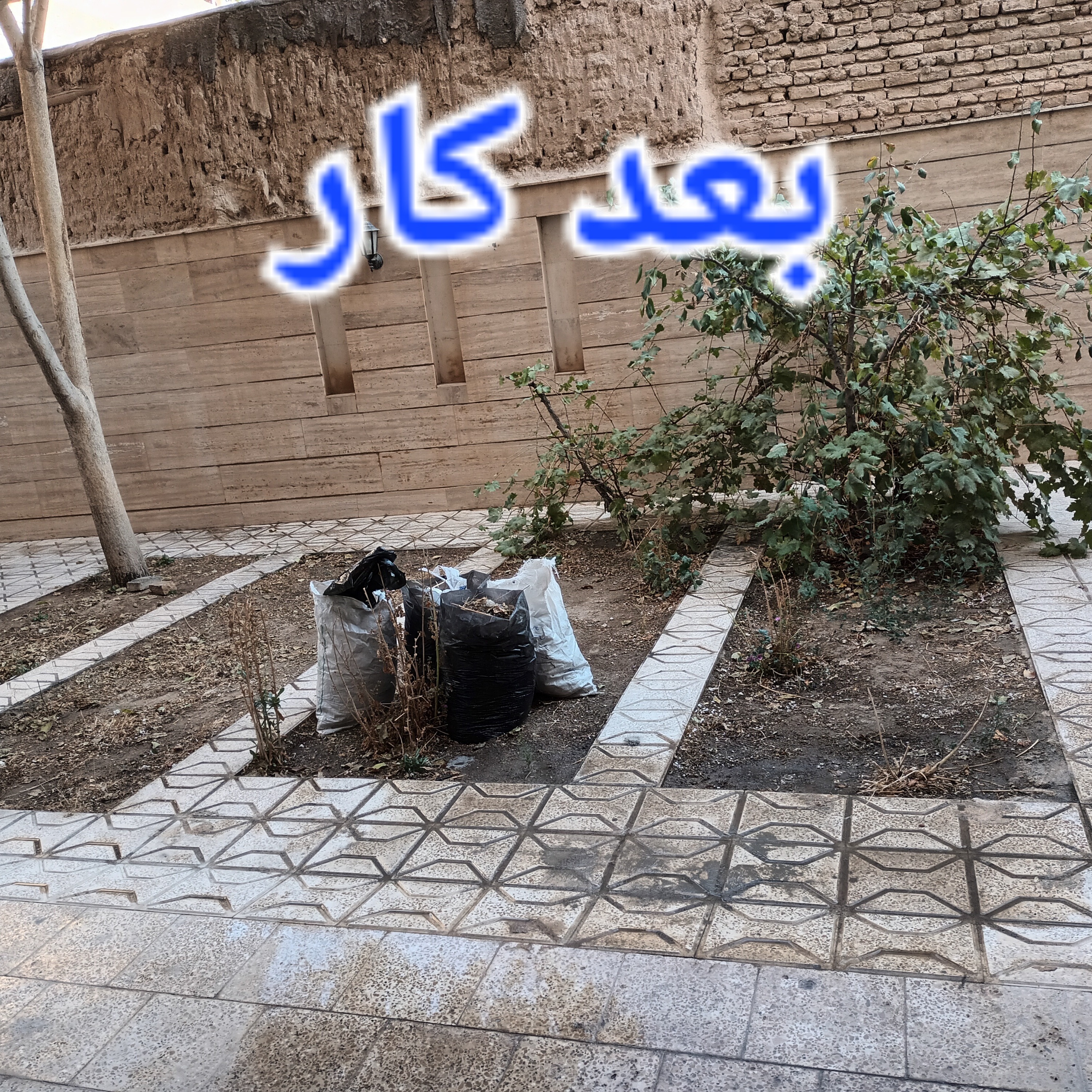 نظافت ساختمان