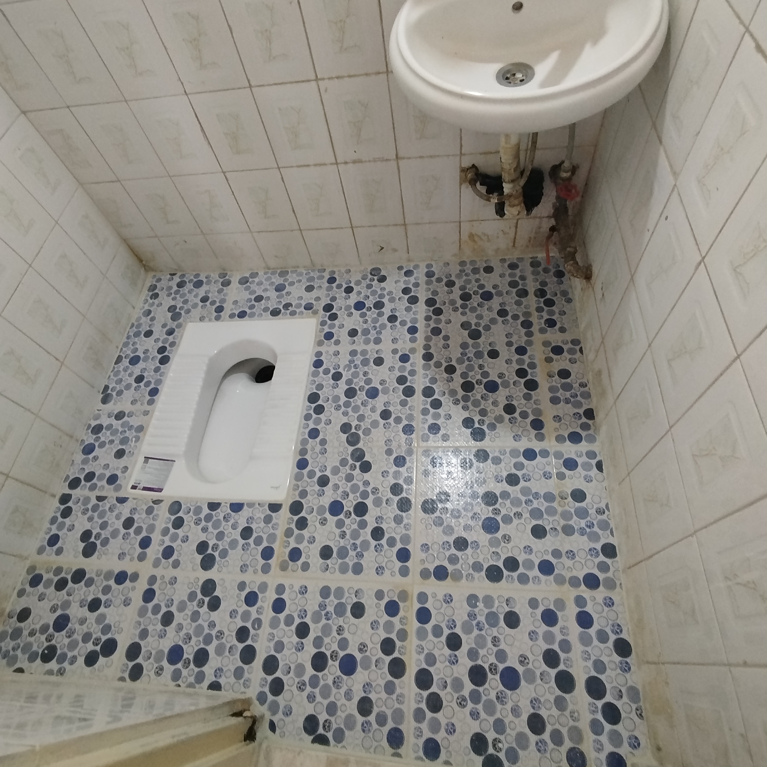 سلام باکیفیت بالا و قیمت مناسب