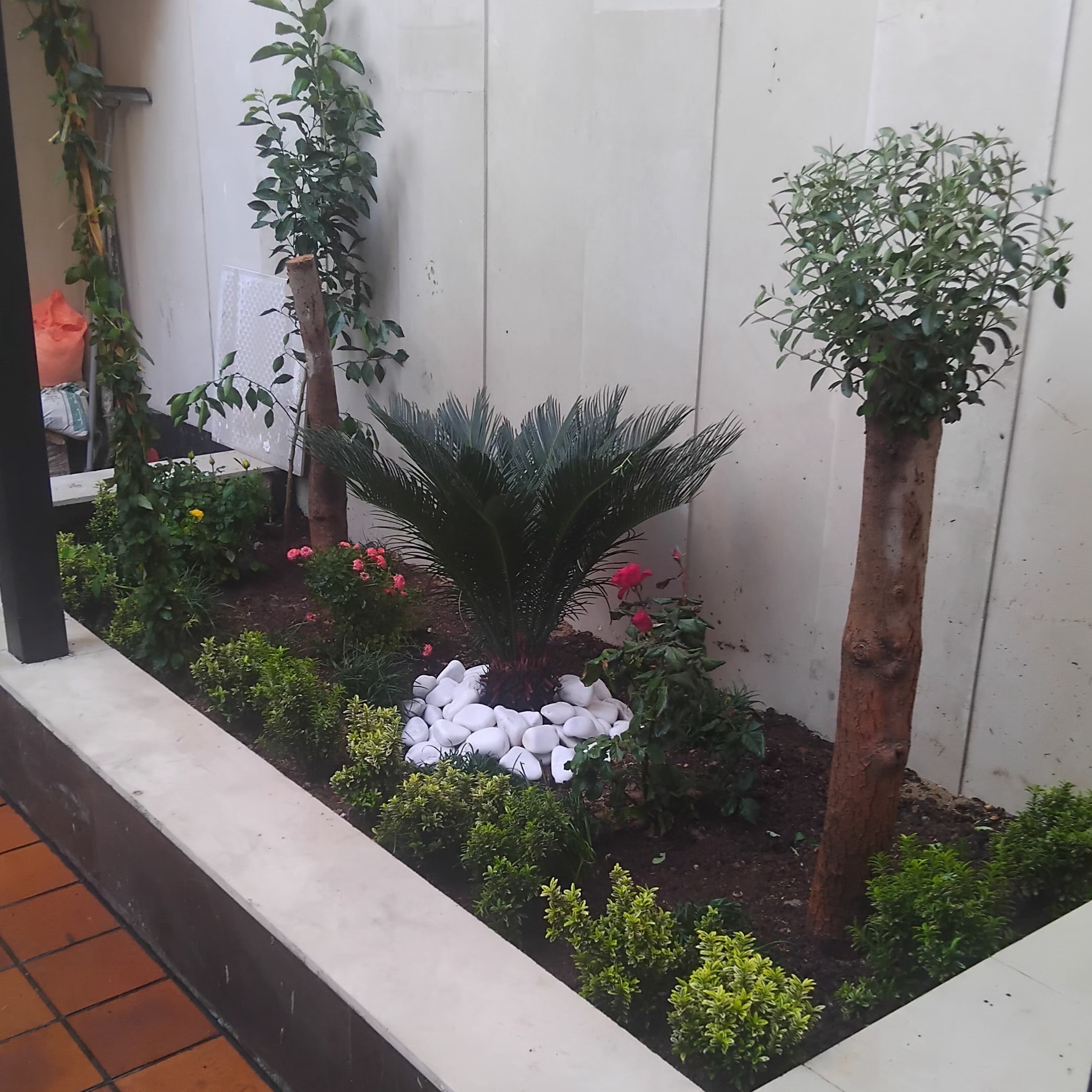 باغبانی سمپاشی