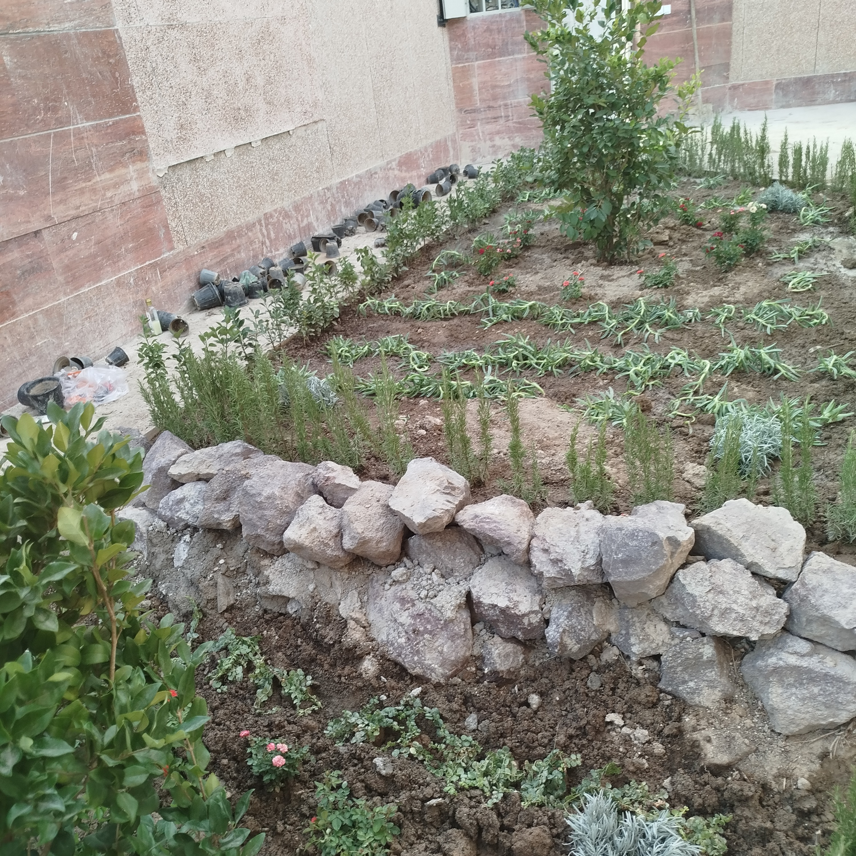 طراحی فضای سبز