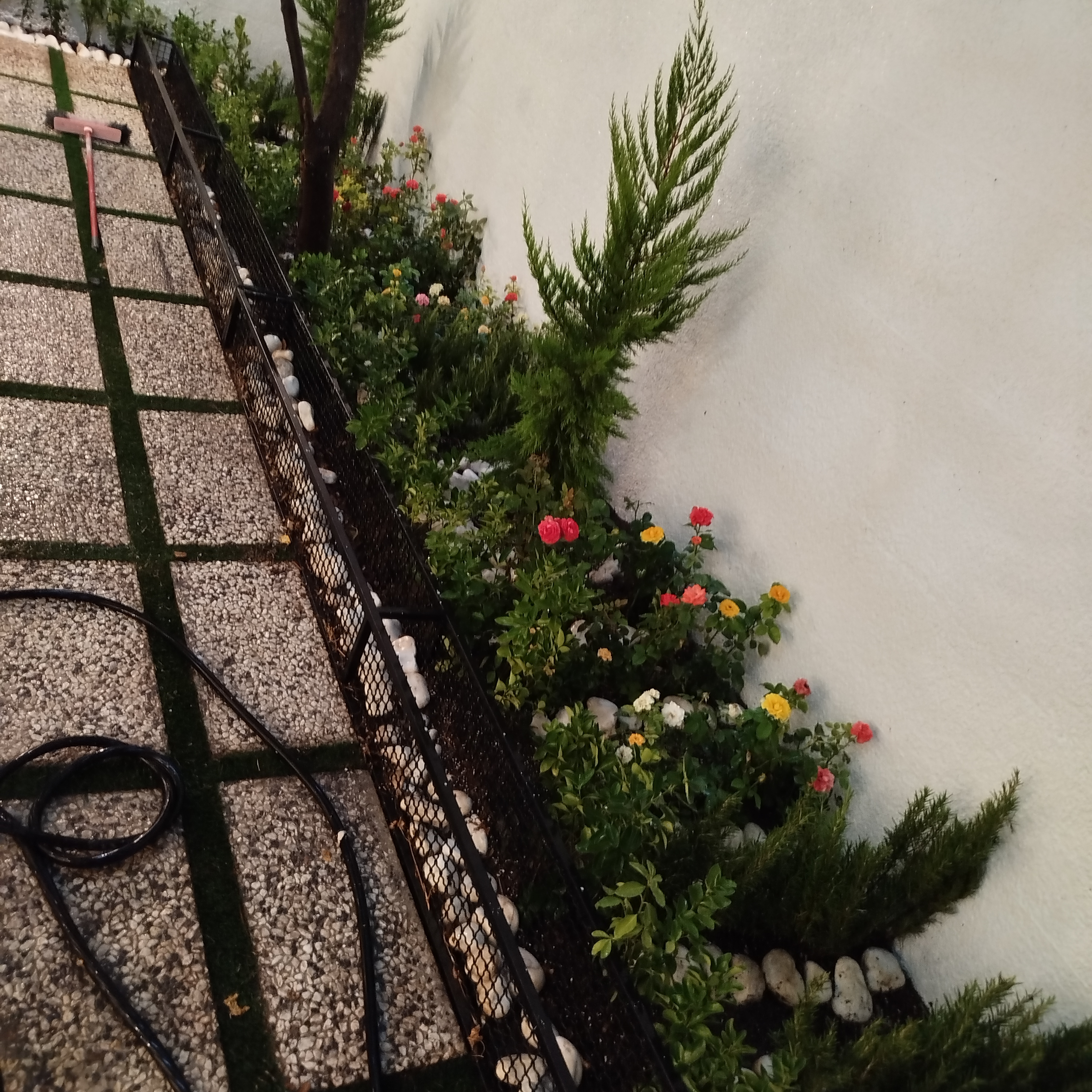 گل کاری حیاط خلوت