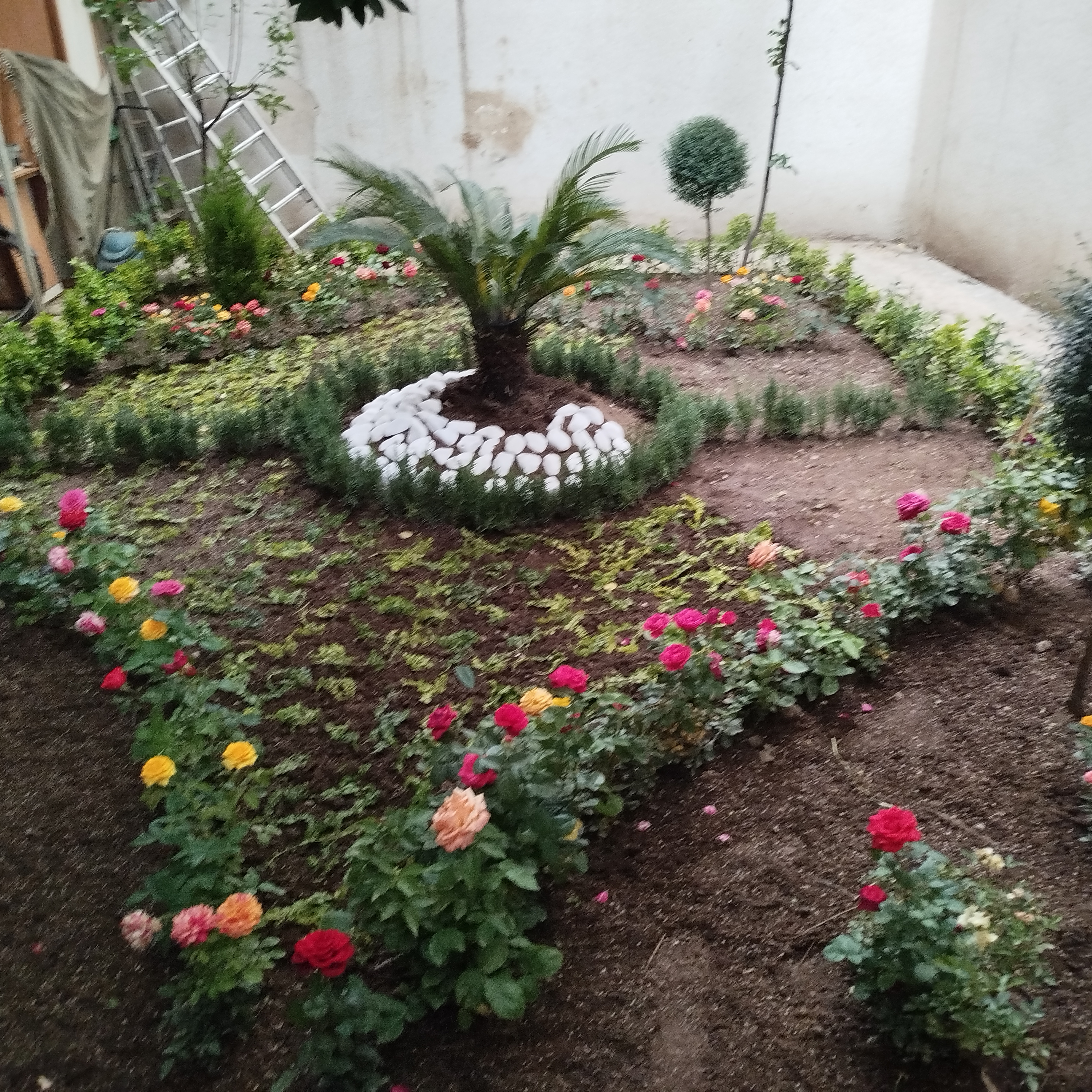 طراحی حیاط خلوت