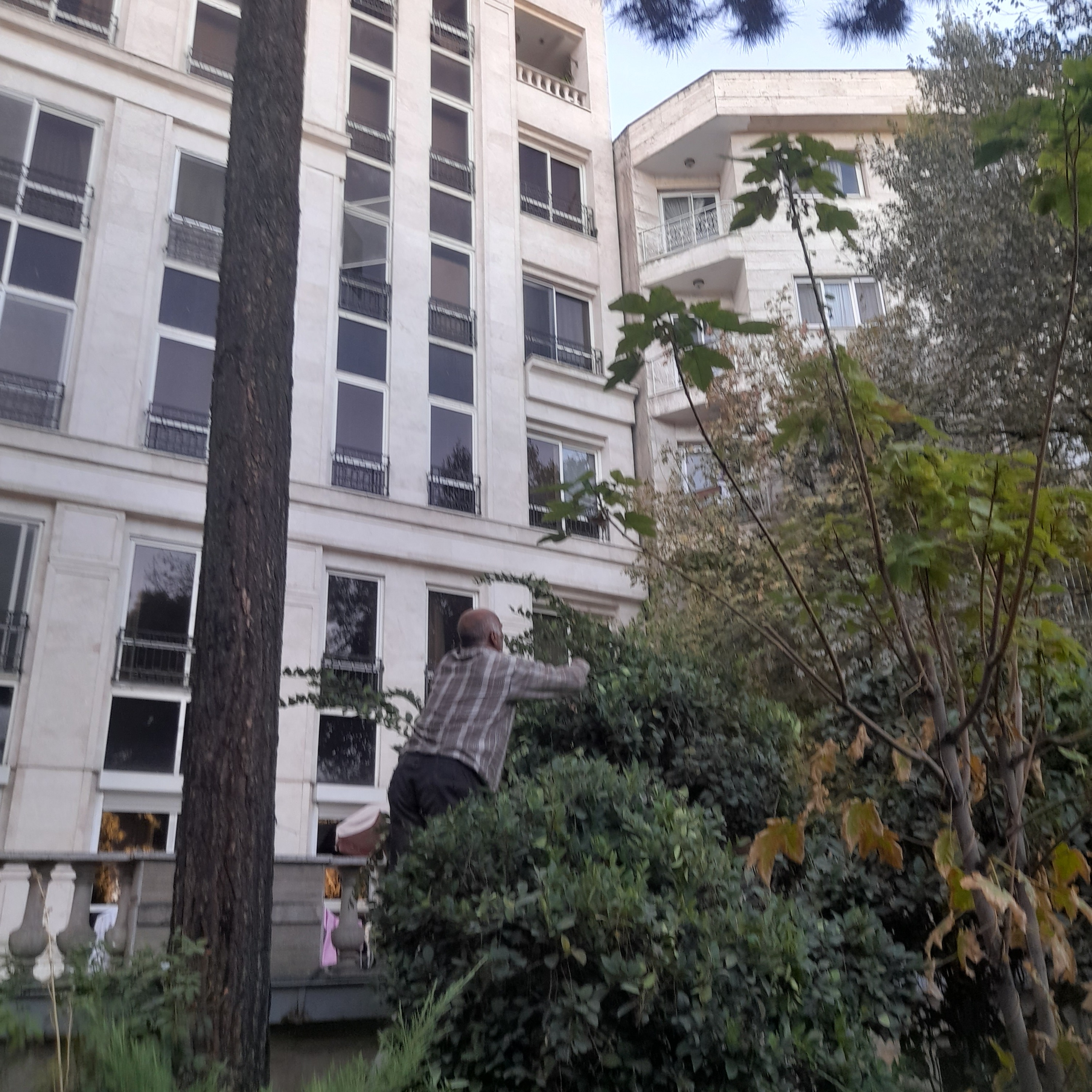 سمپاشی ،هرس،باغ