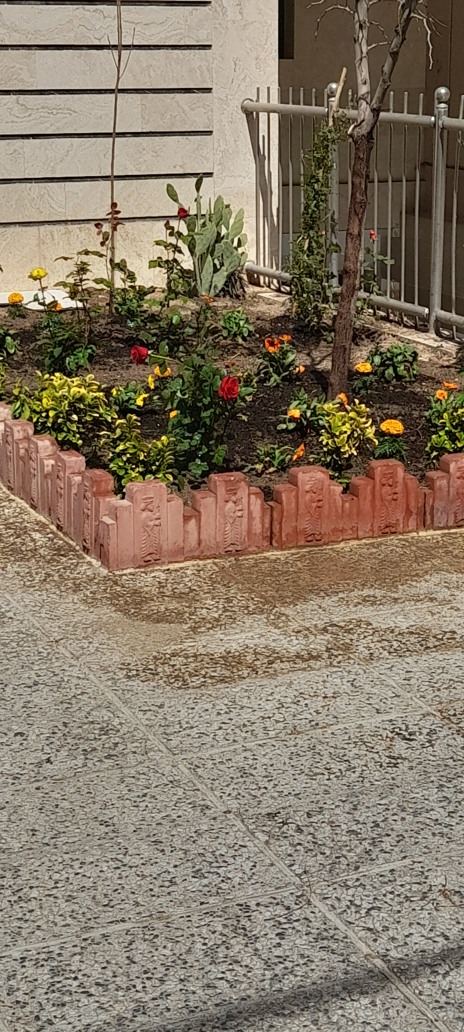 باغچه کاری،باغبانی