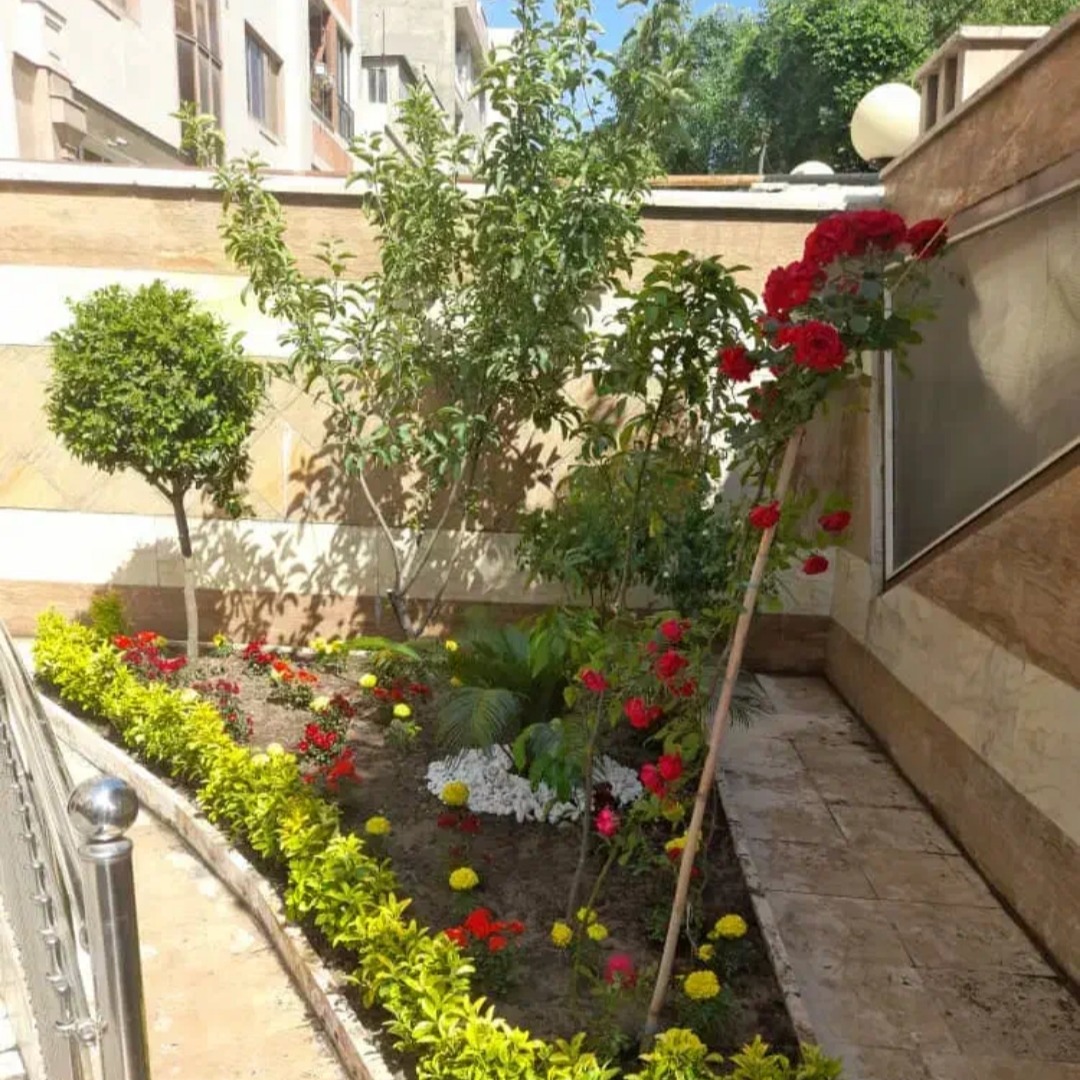 سمپاشی حشرات تضمینی