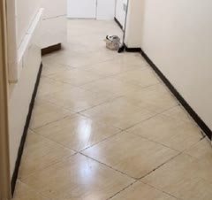 نظافت منزل .آپارتمان .تجاری .اداری .ویلا