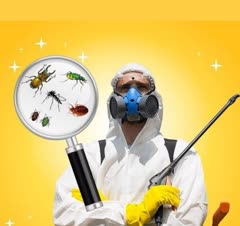 سمپاشی منزل