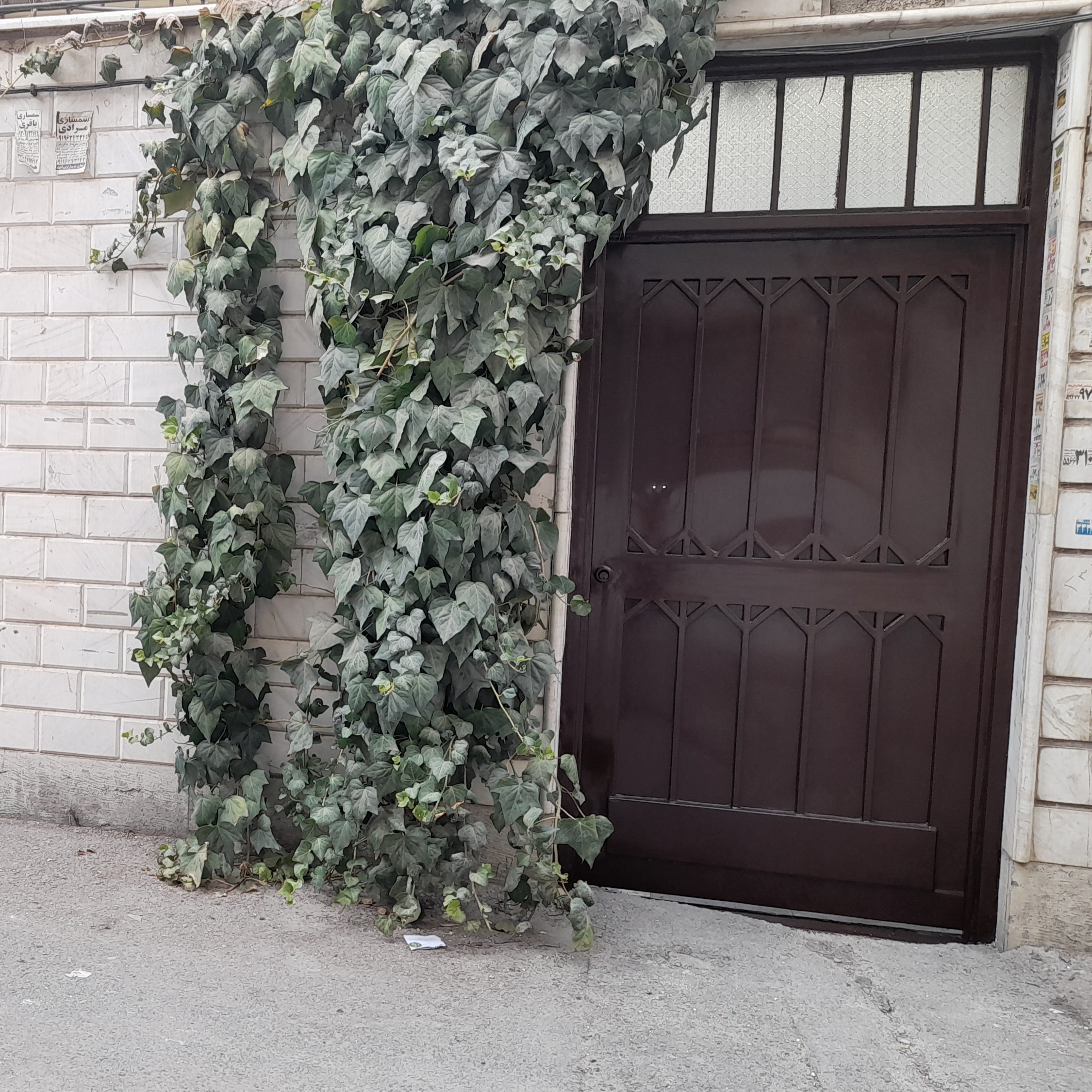 درب ورودی