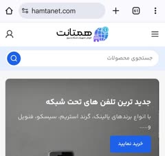 طراحی سایت همتانت