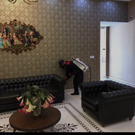 سمی نو