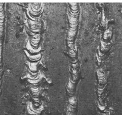 خطی خال کشیده پهن