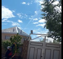 خدمات باغبانی0تا۱۰۰