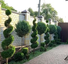 طراحی و اجرای پروژه های ویلایی